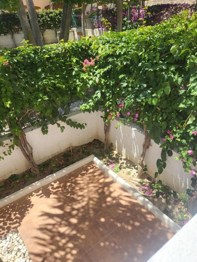 ¡Bajo Precioso Con Salida Directa A La Piscina Comunitaria En Paraiso De Vera! 외부 사진