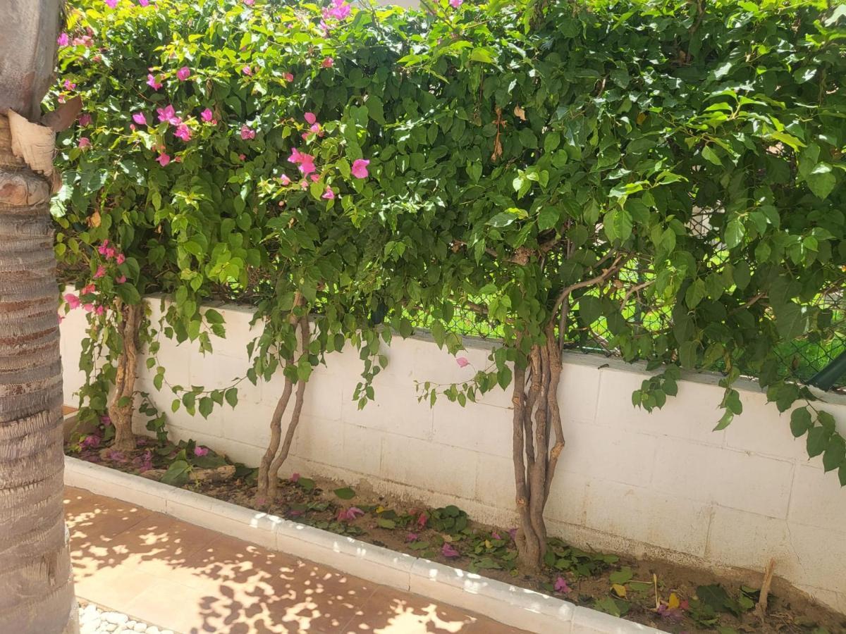 ¡Bajo Precioso Con Salida Directa A La Piscina Comunitaria En Paraiso De Vera! 외부 사진